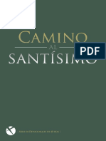 Camino al Santisimo.pdf