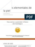 Lesiones Elementales de La Piel