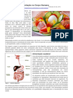 Importância Da Alimentação No Corpo Humano