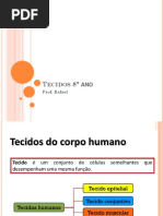 Aula tecido 8ano.ppt