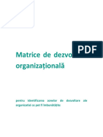Matrice_Dezvoltare_Organizationala