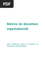 Matrice_Dezvoltare_Organizationala