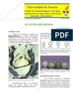 COL O REPOLLO-DAG-HORT-011.pdf