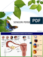 0. Pembentukan Telinga Dan Mata