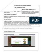 Formato Peligros Riesgos Sec Economicos