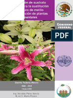 ProyectoBMMexico2-FLORESDF09-10.PDF
