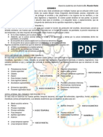 craneo y huesos del eje axil.pdf