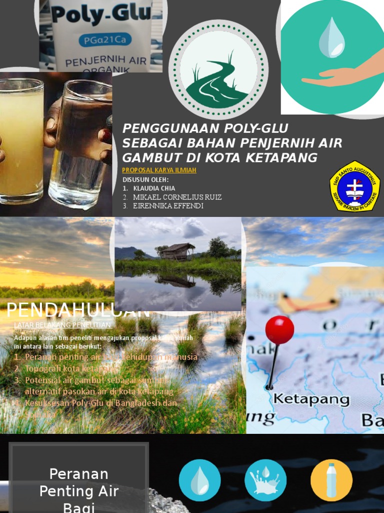 Poly-Glu: Solusi Air Gambut Ketapang | PDF