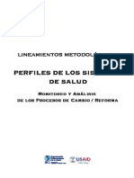 Perfil Sistema Salud-Lineamientos Metodologicos PDF