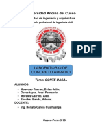 corte basal informe listo.docx