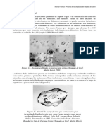 10-InclusionesFluidas.pdf