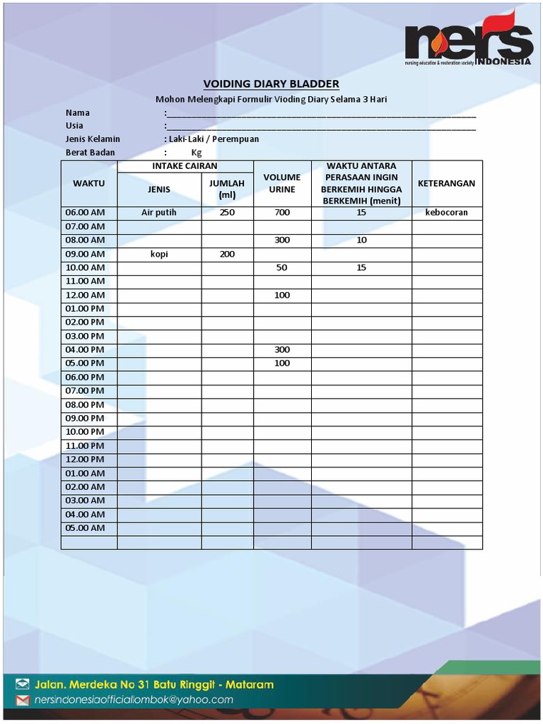 3-Day Voiding Diary Template | PDF