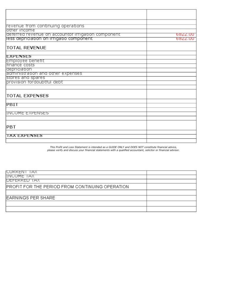Profit and Loss Statement Template | PDF | Income Statement | Revenue