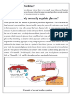 What is Diabetes Mellitus.pdf