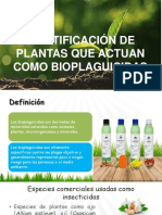 Identificación de Plantas Que Actuan Como Bioplaguicidas
