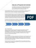 El Proceso de Los Proyectos de Inversión