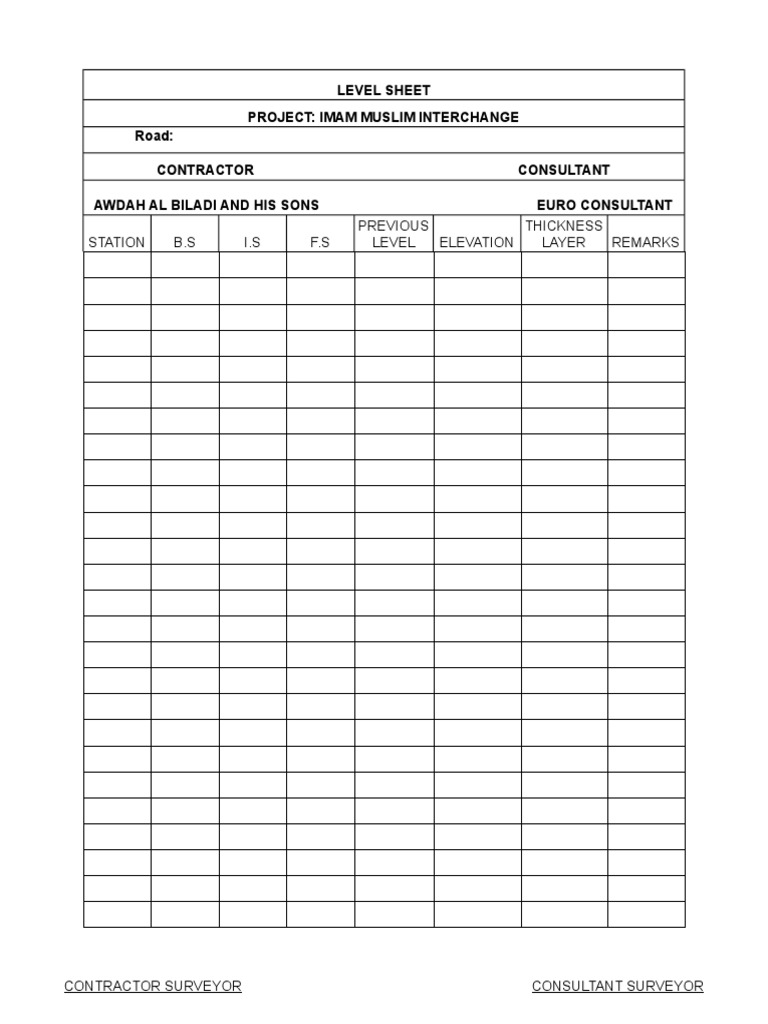 Contractor and Consultant Surveyor Levels | PDF