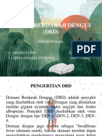 Demam Berdarah Dengue (DBD)