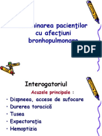 Sistemul pulmonar