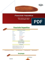 Power Point Fasciola Hepatica