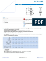 Lifting bolt BN_258.pdf