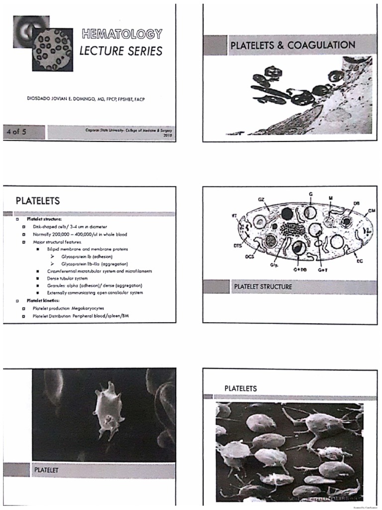 Lec 4 Platelet and Coagulation | PDF