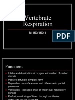 Vertebrate Respiration