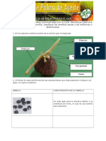 Identificacion y Clasificacion de Semilla