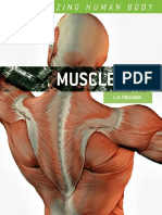 Amazing Muscles.pdf