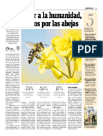 Para Salvar A La Humanidad Comencemos Por Las Abejas