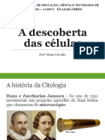 A descoberta das células