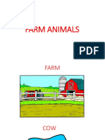 Farm Animals