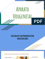 Aparato_Urogenital[1]