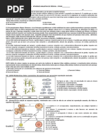 9º Ano Industrial4ºbim