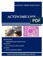 ACTINOMICOSIS.docx