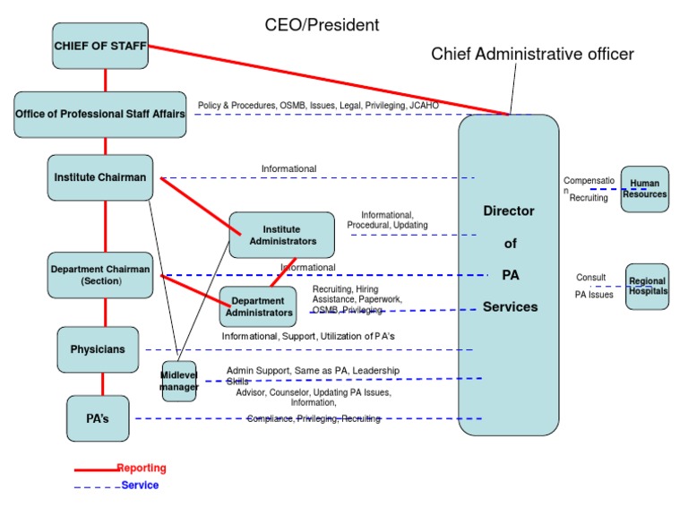 Reporting Flow of PA's | PDF | Government | Health Care