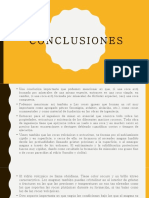 petro-conclusiones.pptx