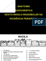 TRABALHO DE ANATOMIA DENTO-MAXILO-MANDIBULAR - Estágio USP Noturno.ppt.pdf