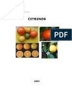 Citrinos PDF