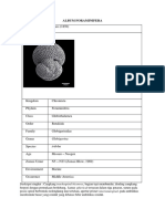 Album Foraminifera