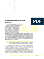 O Processo de Trabalho em Saúde