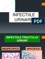 Infectii Urinare