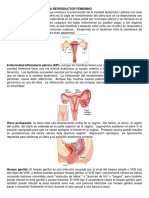 ENFERMEDADES DEL SISTEMA REPRODUCTOR FEMENIN1.docx