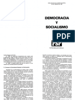 PSP (1987) - Democracia y Socialismo 