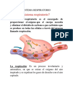Exposicion Anatomia-Sistema Respiratorio