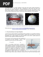 FFC - Campo Magnetico