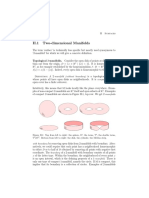 2 Dimensional Manifolds PDF