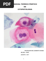 MANUAL TEÓRICO PRÁTICO DE CITOPATOLOGIA.pdf