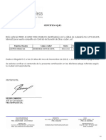 Carta Laboral 