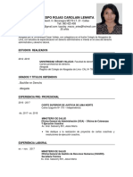 Curriculum Vitae Profesional